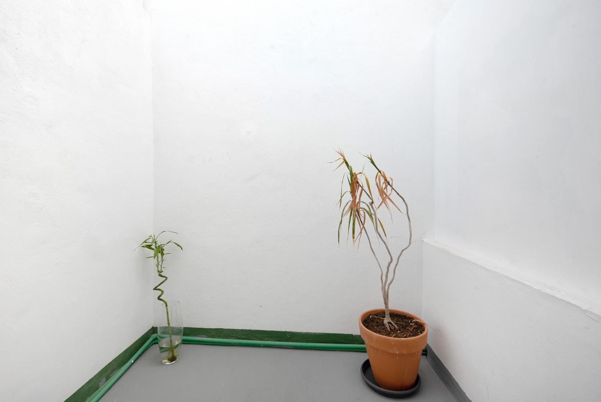 Apartamento Vista 라오로타바 외부 사진